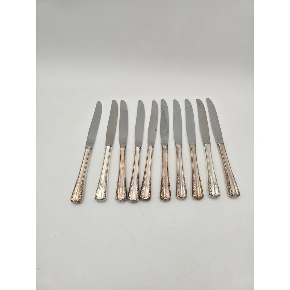 Holmes & Edwards May Queen Silverplate Dinner Knives Set of 10 Floral 9.25in